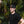 Load image into Gallery viewer, Person wearing a black T-shirt and a black trucker hat with a leather patch that reads 'Kentzo Koffee,' featuring a mountain logo and the phrase 'Fuel Your Adventure.' The individual is smiling in front of a lush background of tropical greenery, creating a casual and adventurous vibe.