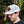 Load image into Gallery viewer, Diamond Leather Patch Trucker Hat