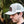 Load image into Gallery viewer, Person wearing a white trucker-style hat with a leather patch on the front that reads 'Kentzo Koffee' alongside a mountain logo and the phrase 'Fuel Your Adventure.' The background features soft-focus greenery, creating a natural, outdoorsy vibe.