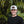 Load image into Gallery viewer, Person wearing a black T-shirt and a white trucker hat with a leather patch that reads 'Kentzo Koffee,' featuring a mountain logo and the phrase 'Fuel Your Adventure.' The individual is smiling in front of a lush background of tropical greenery, creating a casual and adventurous vibe.